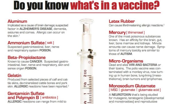 what is in the flu vaccine