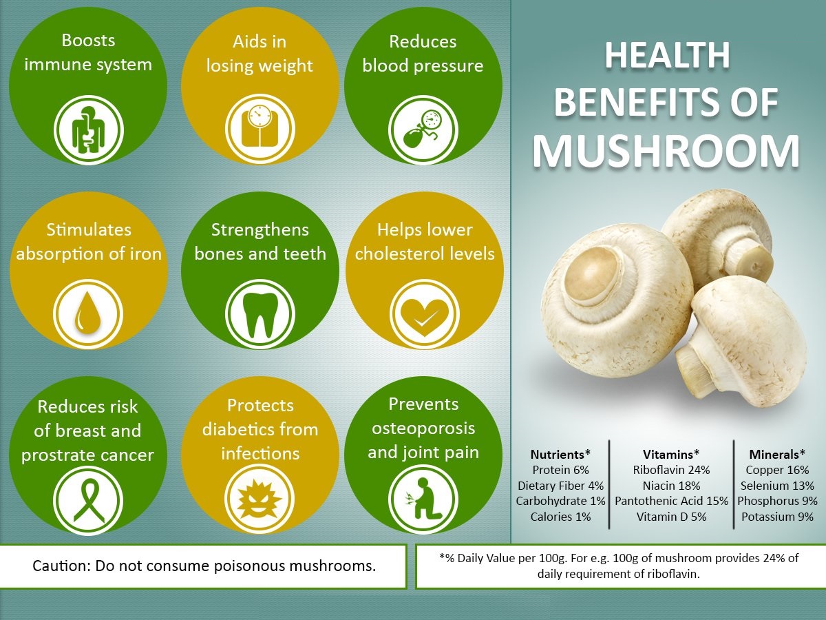 Mushroom Health Benefits Herbal Remedies