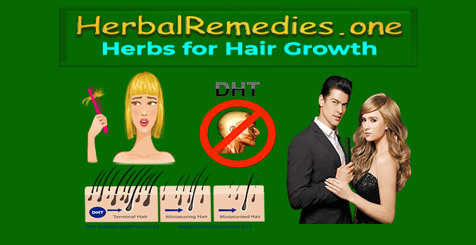 herbs that regrow hair