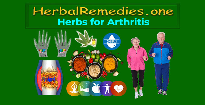 arthritis herbs