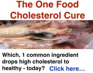 top food to lower cholesterol