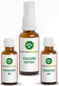dog vaccine reaction treatment