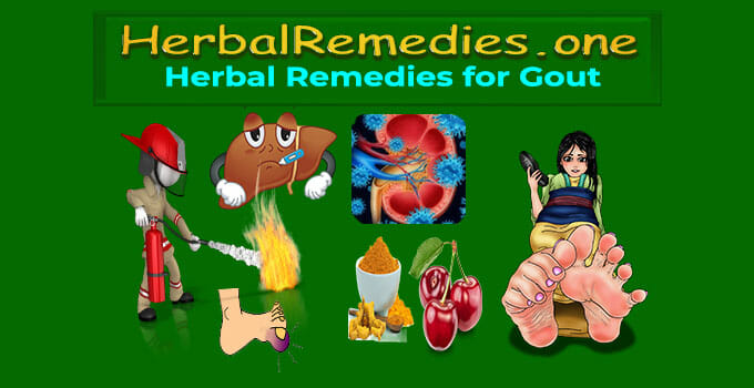 Herbs for Gout