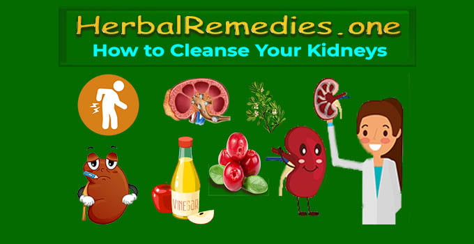 best kidney cleanse