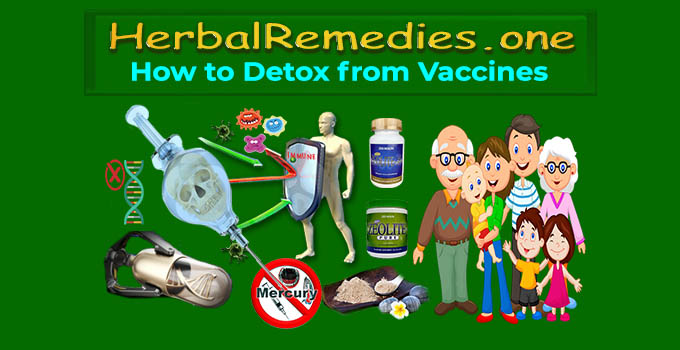 how to detox from vaccines