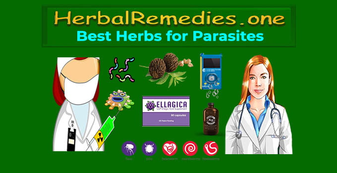 best herbs for parasites