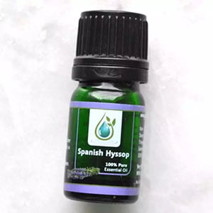 spanish hyssop essential oil