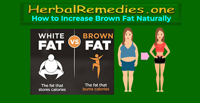 how to increase brown fat naturally